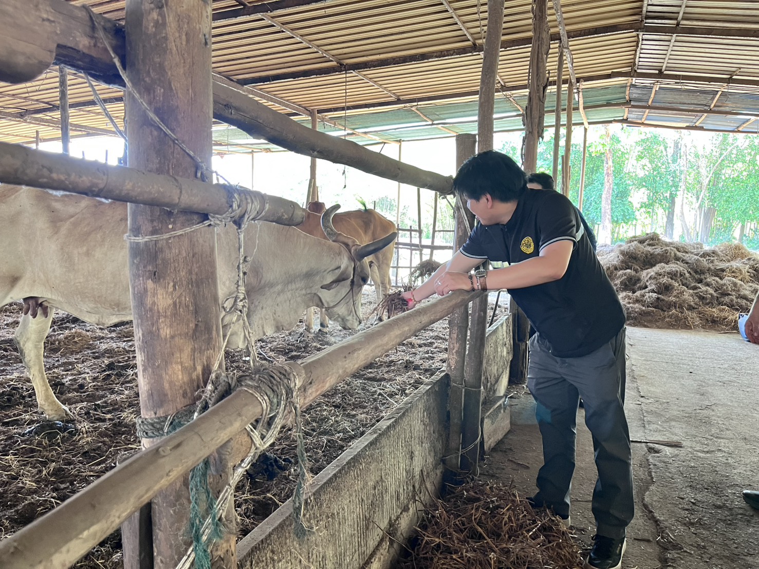 title - วันอังคารที่ 31 มีนาคม 2569 นายวิทูล ประดิษฐบุญ ปฏิรูปที่ดินจัังหวัดปราจีนบุรี พร้อมด้วย เจ้าหน้าที่ ส.ป.ก.ปราจีนบุรี เข้าร่วม กิจกรรมเปิดโครงการ Kick off การใช้ประโยชน์ จากฟางข้าวตาม 